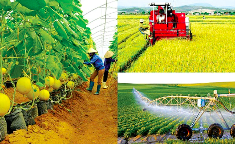 Phát triển cơ giới hóa một số ngành hàng nông nghiệp chủ lực của tỉnh An Giang năm 2022 - Những vấn đề đặt ra